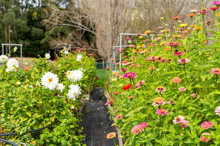 2239B State Highway 12 Paparoa_32