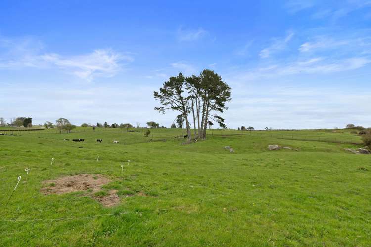 11 Tamatea Road Tokoroa_26