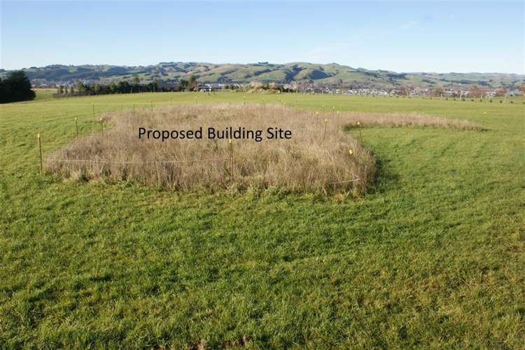 52 Spittles Way Gore_2