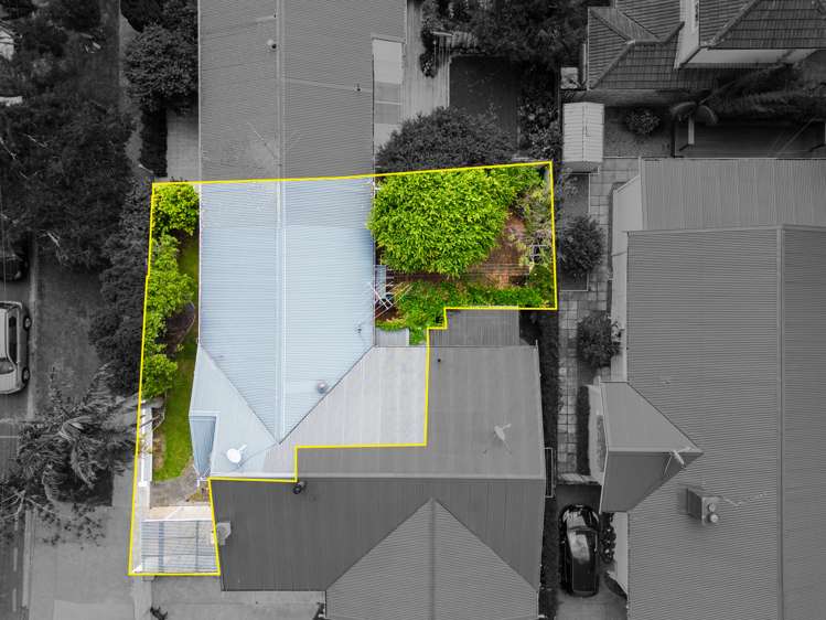 45b Pah Road Epsom_14