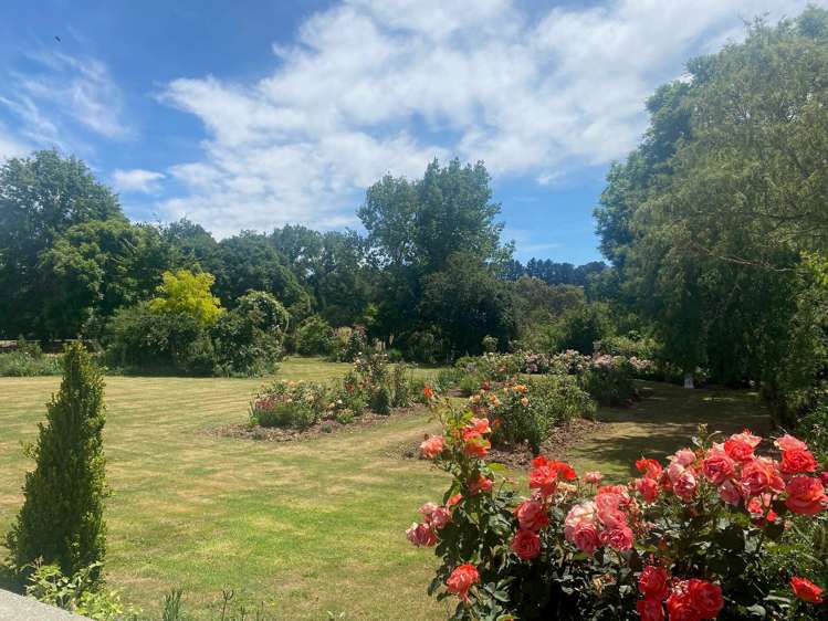 333 Munro Road Cheviot_19