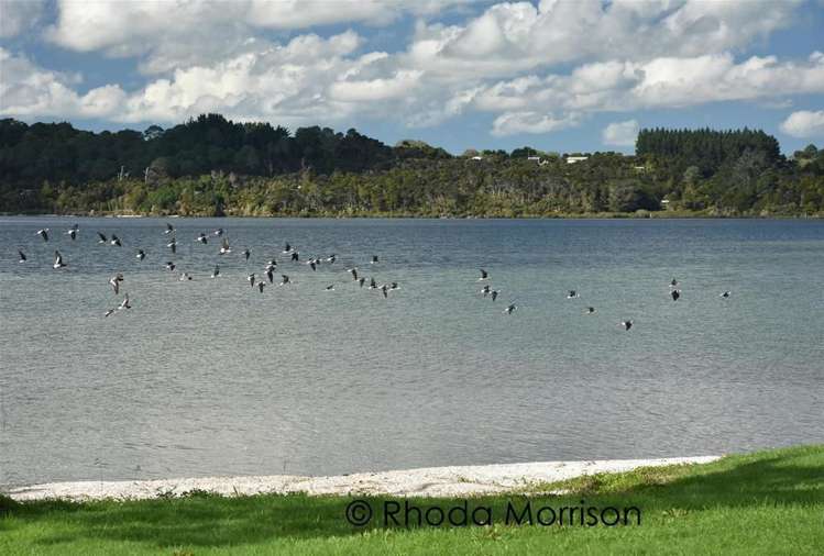 296 Metcalfe Road Matakohe_51