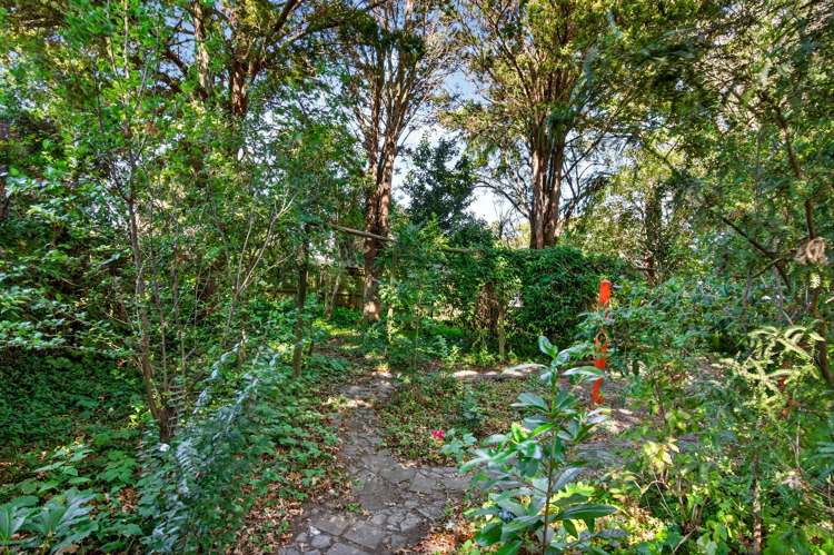 131 Main Street Greytown_21