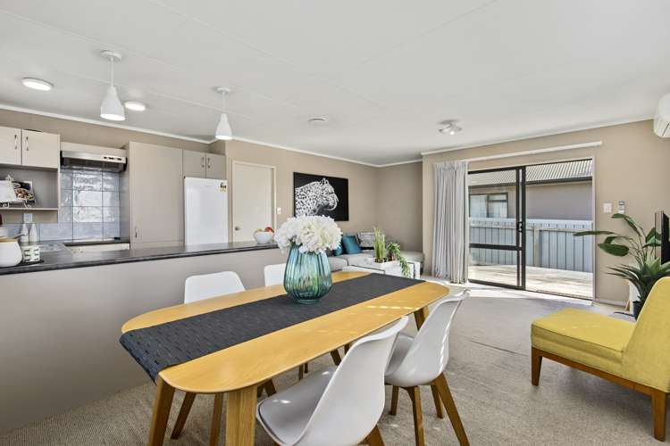 465b Ngatai Road Bellevue_6