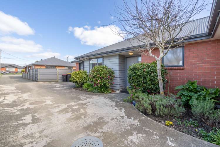 62a Price Street Grasmere_17