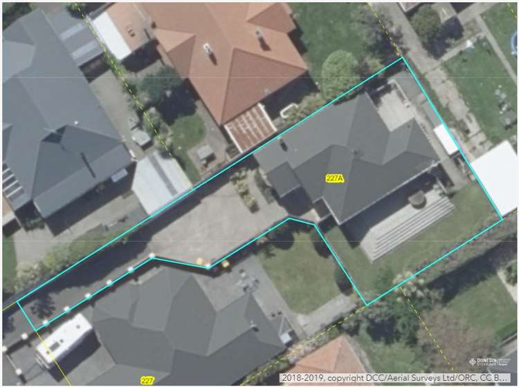 227a Forbury Road Saint Clair_22