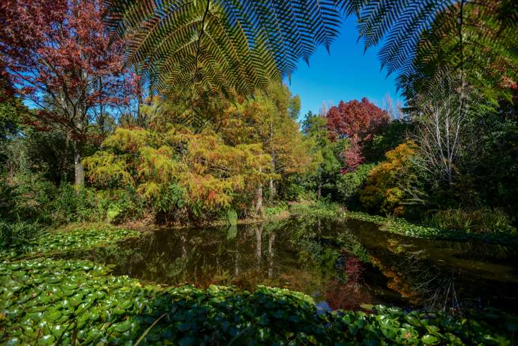 582 Old Coach Road Hastings Country_17