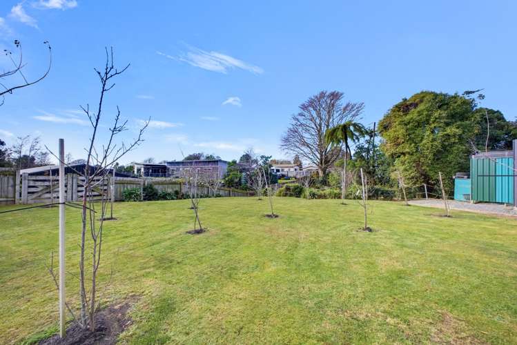 1029 Junction Road Egmont Village_12