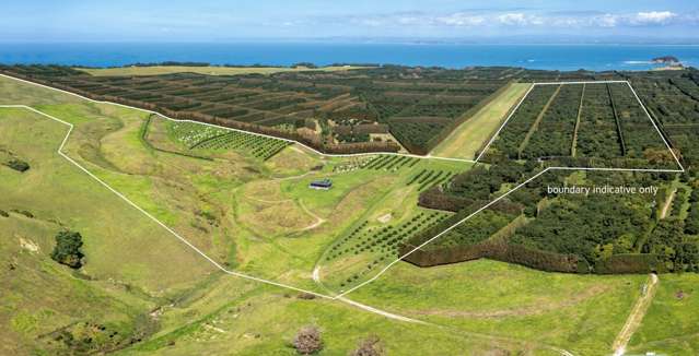 Motiti Island Papamoa Beach_1