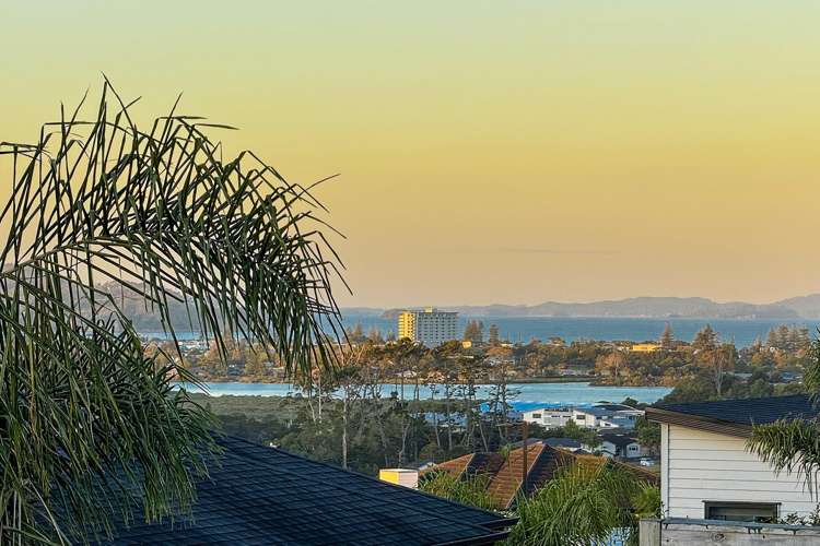 60 Wainui Road Millwater_2