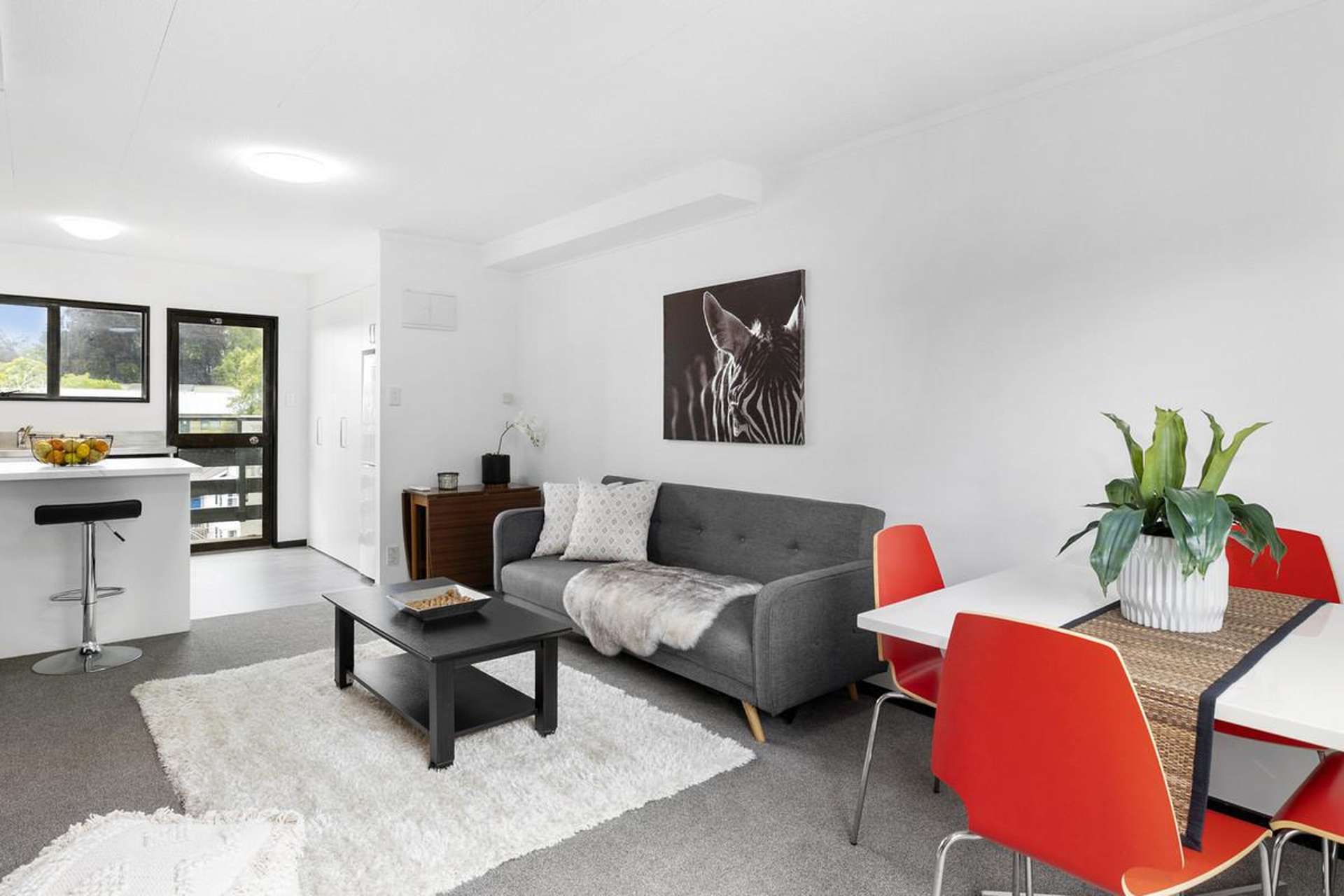 13/93 Queen Street North Dunedin_0