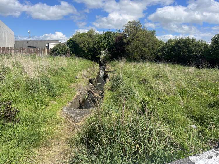 6 Burns Street Dannevirke_6