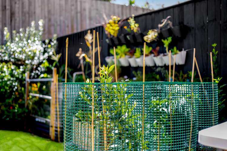 6 Rara Lane Manukau_14