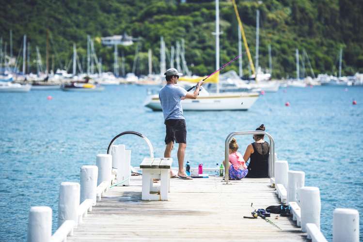 350a Waikawa Road Waikawa_21