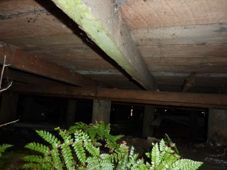 30 Burnetts Face Road Denniston_19