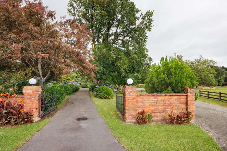 36 Forest Hill Road Aokautere_7