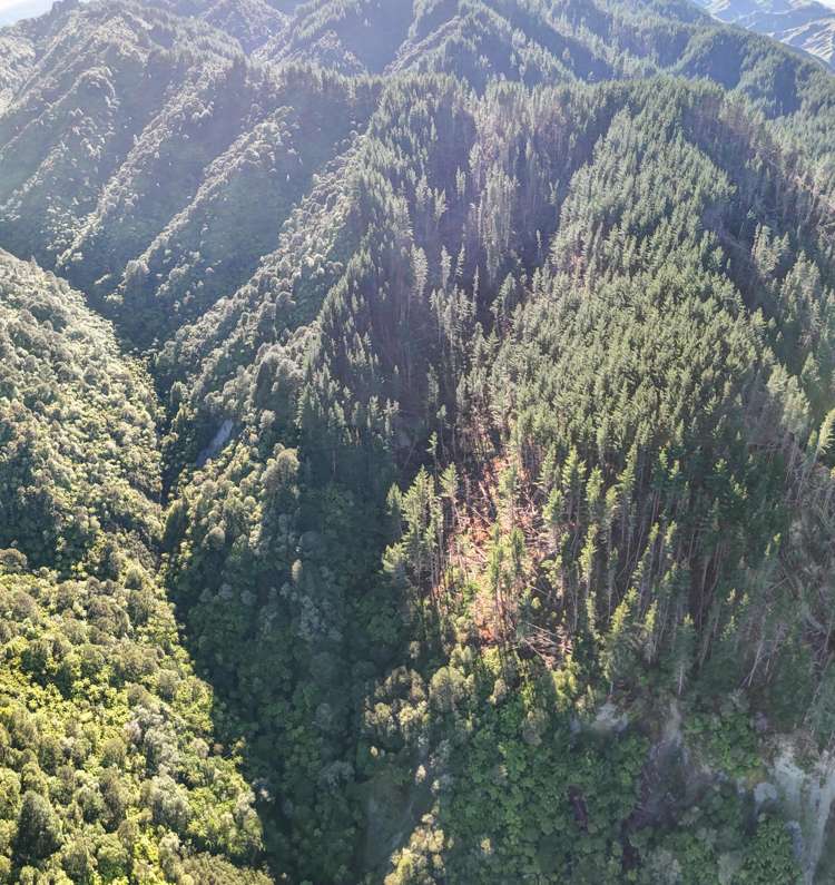 322 Creek Road Mangamahu_18