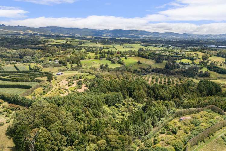 243B Wright Road Katikati_23