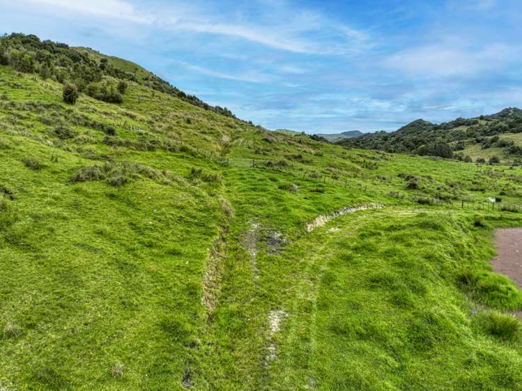 851 Awamate Road Frasertown_7