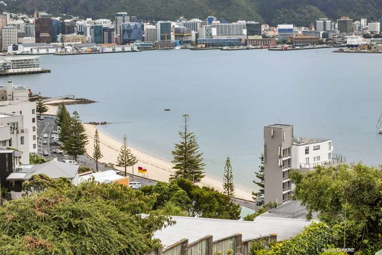 3a/22 Telford Terrace Oriental Bay_15