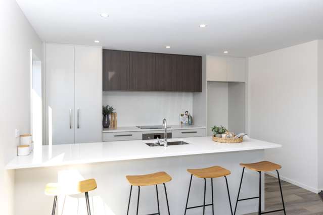 65 Monarch Drive Rolleston_3