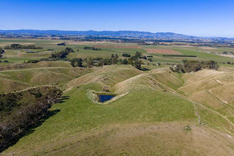 109A Junction Road Halcombe_7