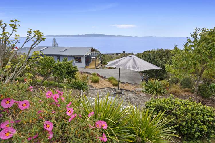 22a Springfield Avenue Ngarimu Bay_17