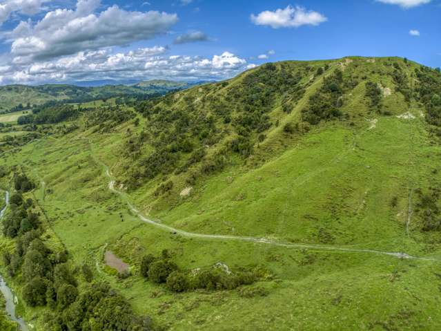 851 Awamate Road Frasertown_1