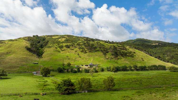 1469 Tuakau Bridge-Port Waikato Road Tuakau_5