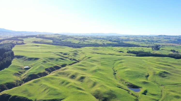 2029 Matapiro Road Crownthorpe_32