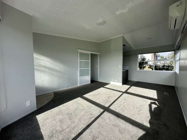 3/84a Royal View Road Te Atatu South_3