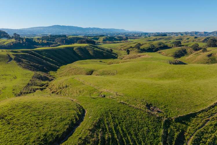 Ridge Road North Pahiatua_7