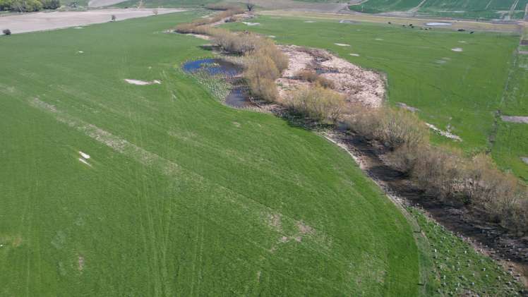 51 Saint Bathans Loop Road Becks_29