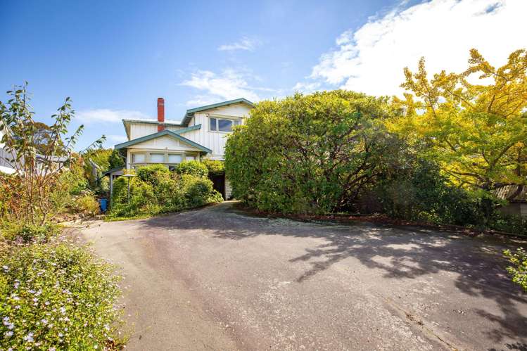 30 Beverley Hill Maori Hill_61