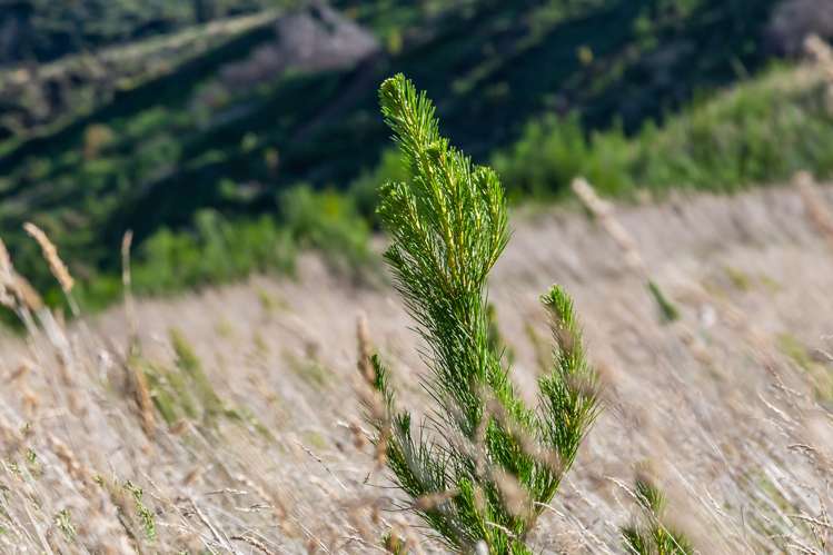 121 Mountain Road Oxford_14