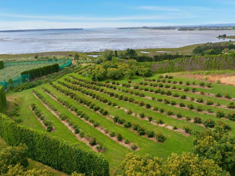 245 Athenree Road Athenree_16