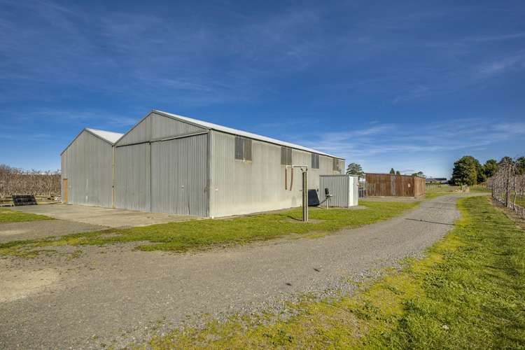 Kiwi Crunch Orchard Portfolio Twyford_17