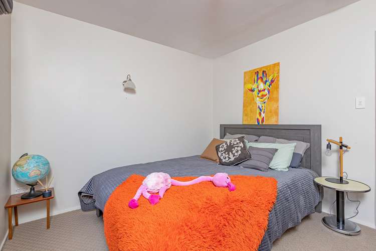 724 Norfolk Road Upper Plain_8