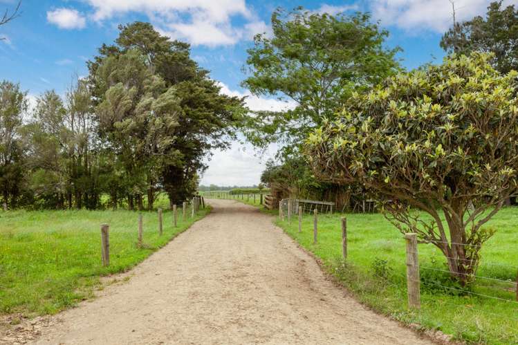 250 No 8 Road Morrinsville_27