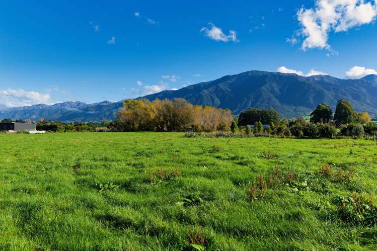 386 Mount Fyffe Road Kaikoura_11