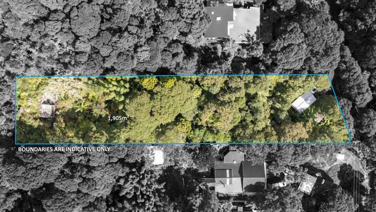 70 Mountain Road Henderson Valley_6