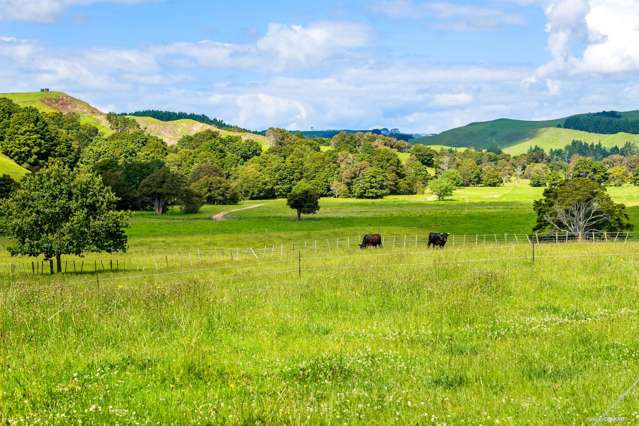 164c Maxwell Road Maramarua_4