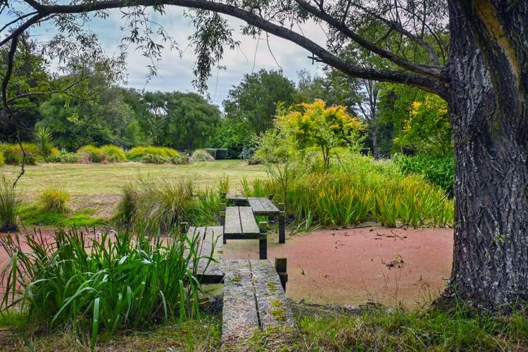 213 Te Whiti Road Masterton_17