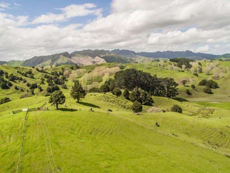 171 Girls High School Road Tangiteroria_6