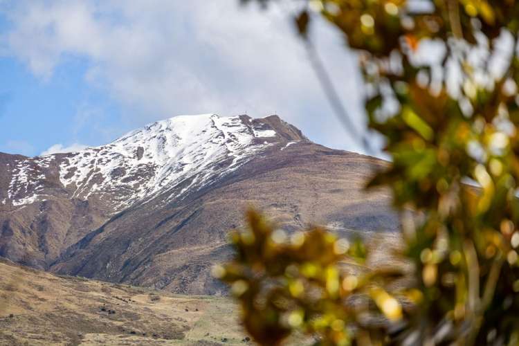 23 Willowridge Wanaka_24