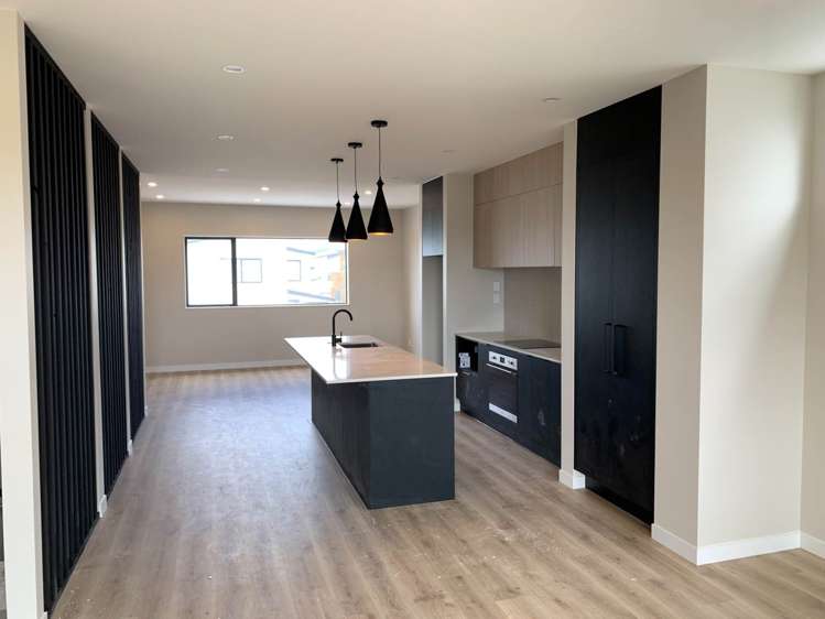 42 Willowherb Lane Hobsonville_1