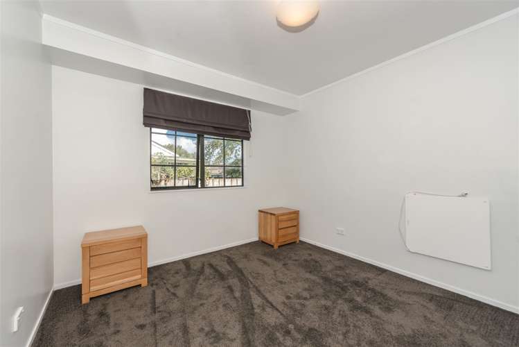 117a Boundary Road Claudelands_10