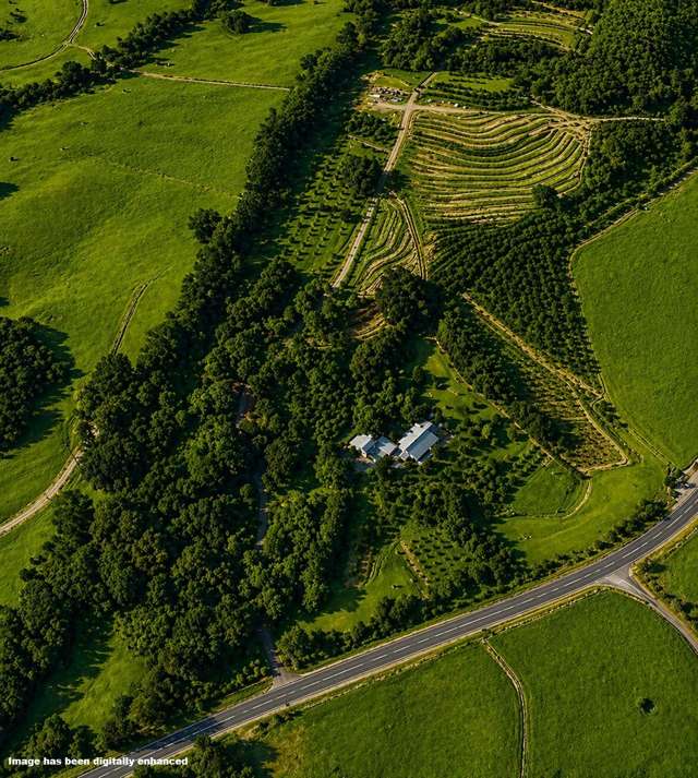 501 Purangi Road Purangi_4