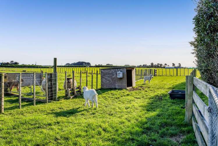 8 Muggeridge Road Manutahi_24