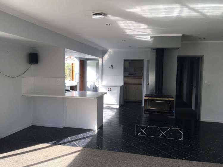 349 Postman Road Dairy Flat_4